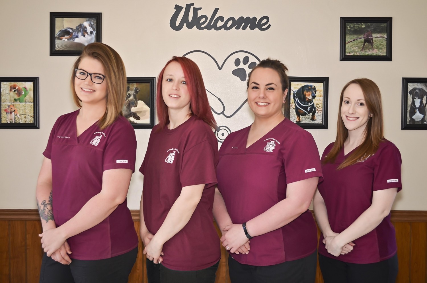 biggest breed of bulldog